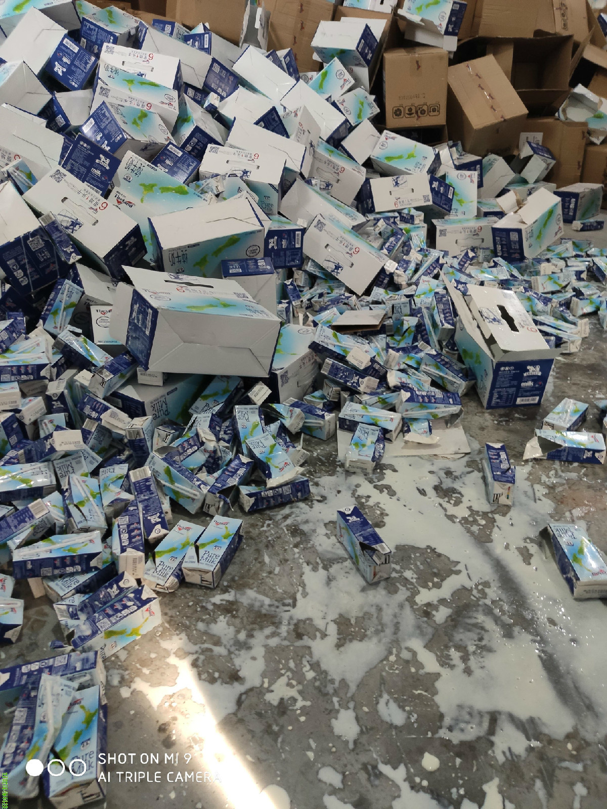 广州牛奶销毁处理